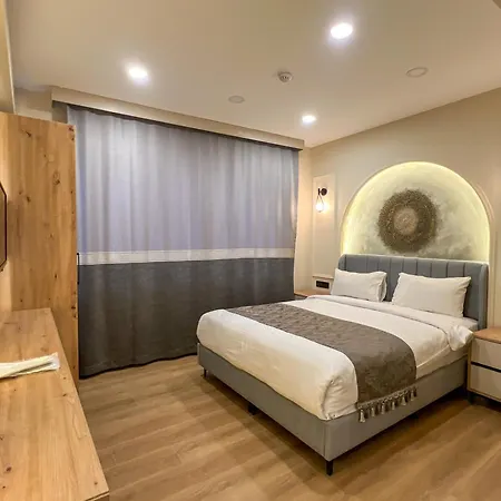 酒店 Tophane Mansion Karakoy 3*